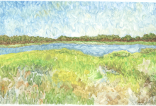 Wetlands (from a series)
