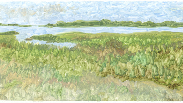 Wetlands (from a series)