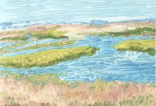 Wetlands (from a series)